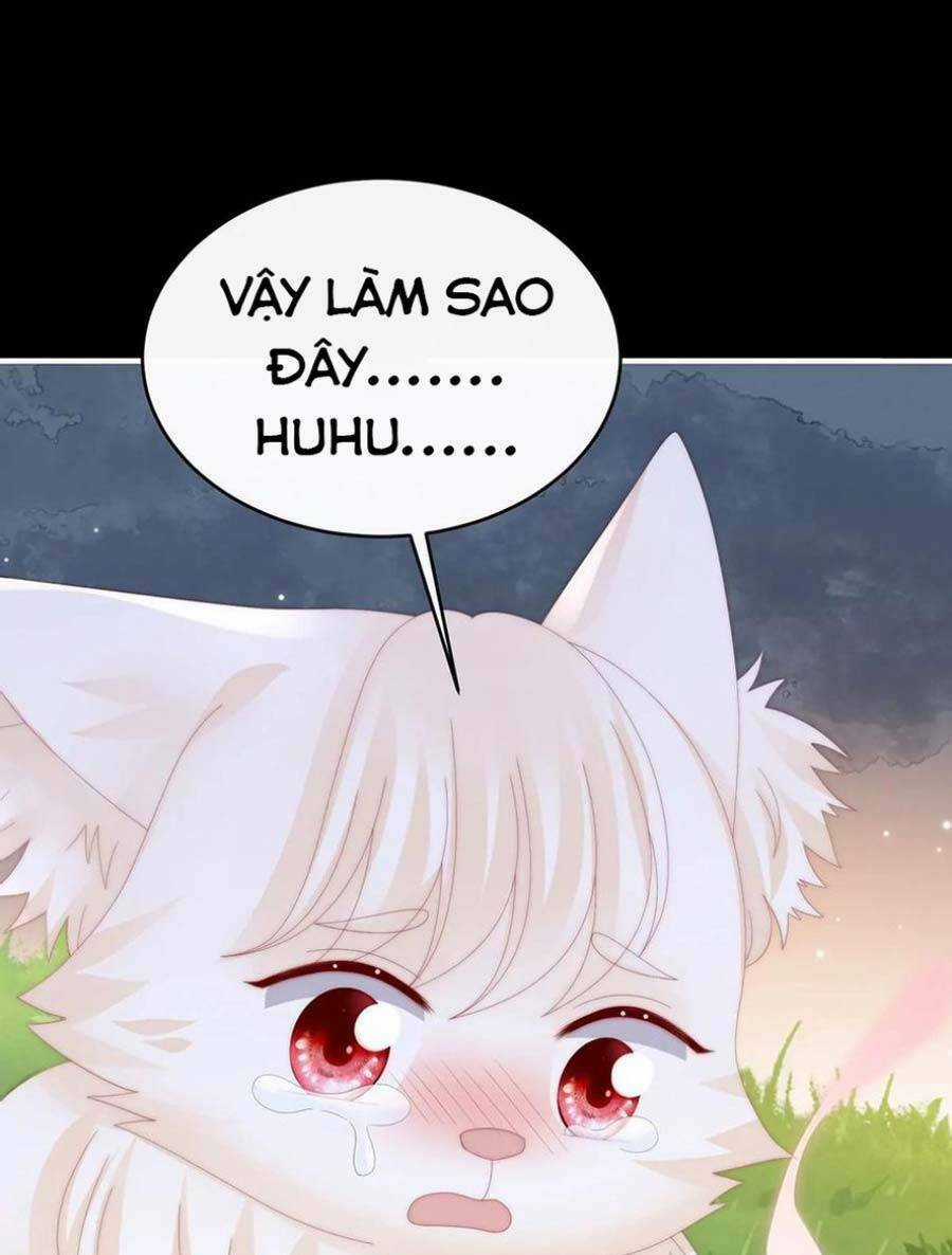 Thê Chủ, Thỉnh Hưởng Dụng Chapter 83 trang 18