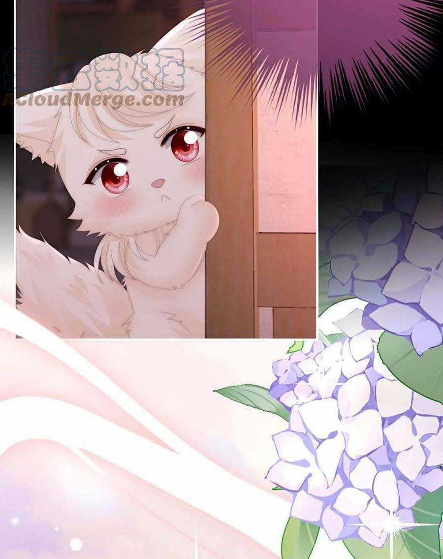 Thê Chủ, Thỉnh Hưởng Dụng Chapter 83 trang 24