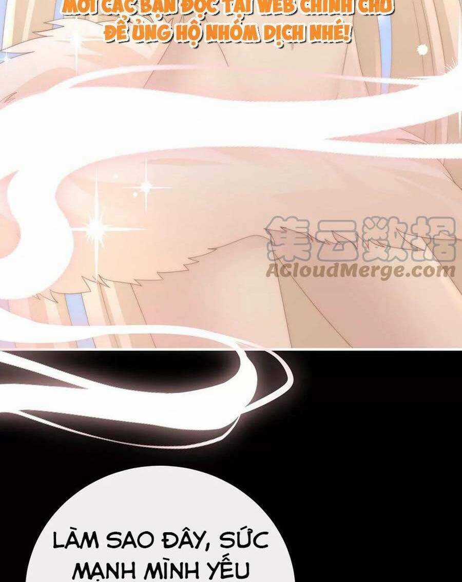 Thê Chủ, Thỉnh Hưởng Dụng Chapter 83 trang 26