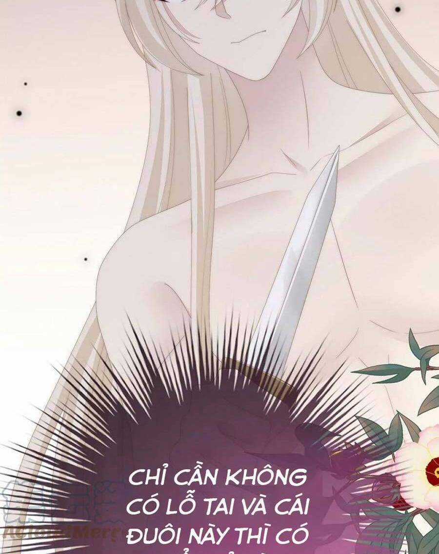 Thê Chủ, Thỉnh Hưởng Dụng Chapter 83 trang 30