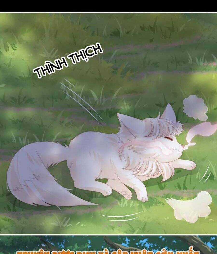 Thê Chủ, Thỉnh Hưởng Dụng Chapter 83 trang 9