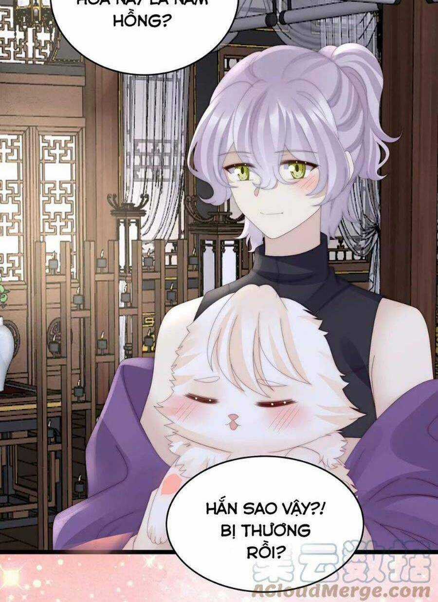 Thê Chủ, Thỉnh Hưởng Dụng Chapter 84 trang 47