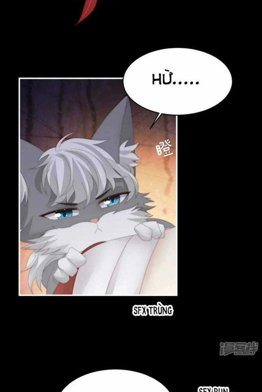 Thê Chủ, Thỉnh Hưởng Dụng Chapter 85 trang 11