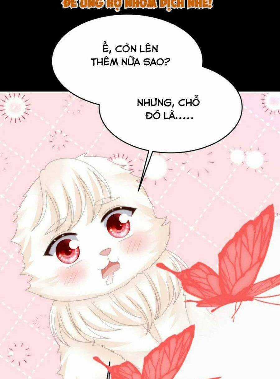 Thê Chủ, Thỉnh Hưởng Dụng Chapter 85 trang 39