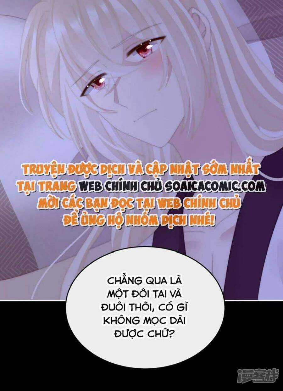 Thê Chủ, Thỉnh Hưởng Dụng Chapter 85 trang 47