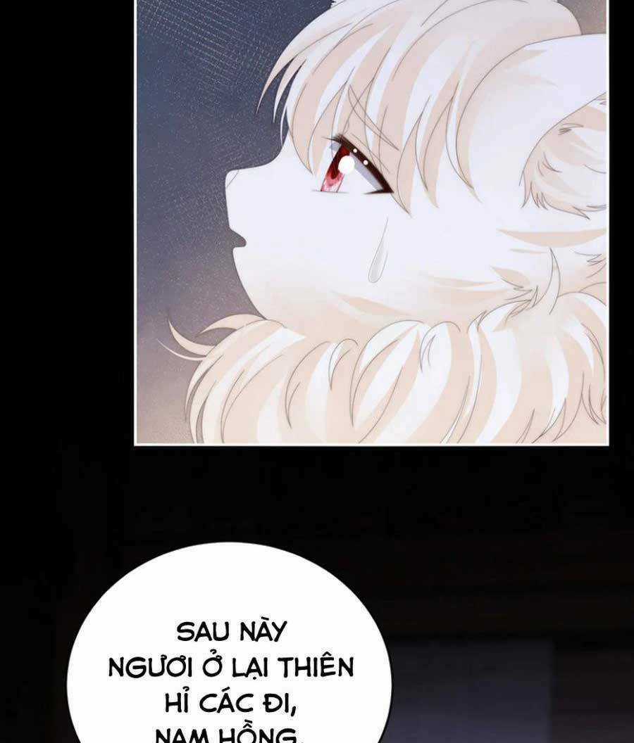 Thê Chủ, Thỉnh Hưởng Dụng Chapter 86 trang 42