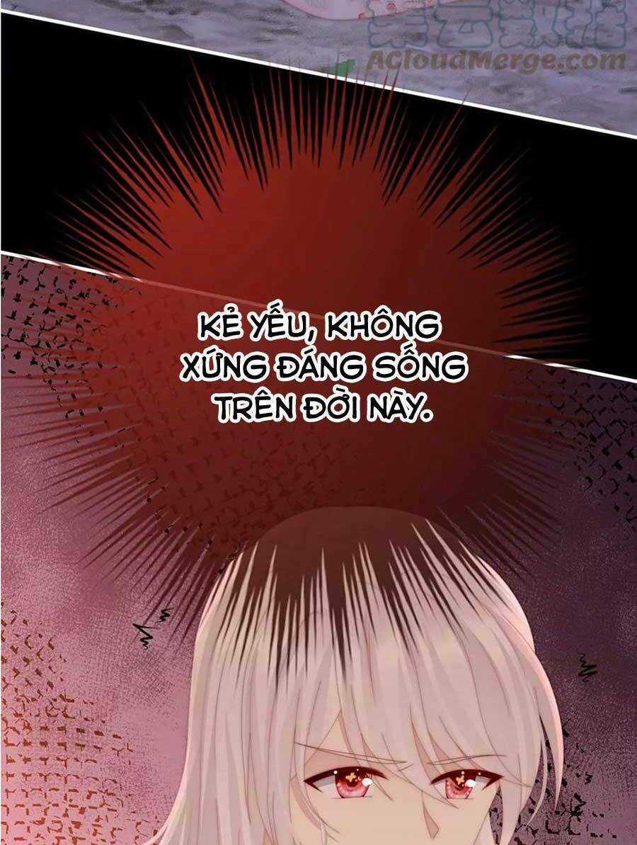 Thê Chủ, Thỉnh Hưởng Dụng Chapter 90 trang 35