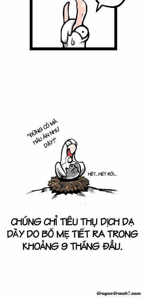 The Earth, Human, And Animal Chapter 1 trang 11