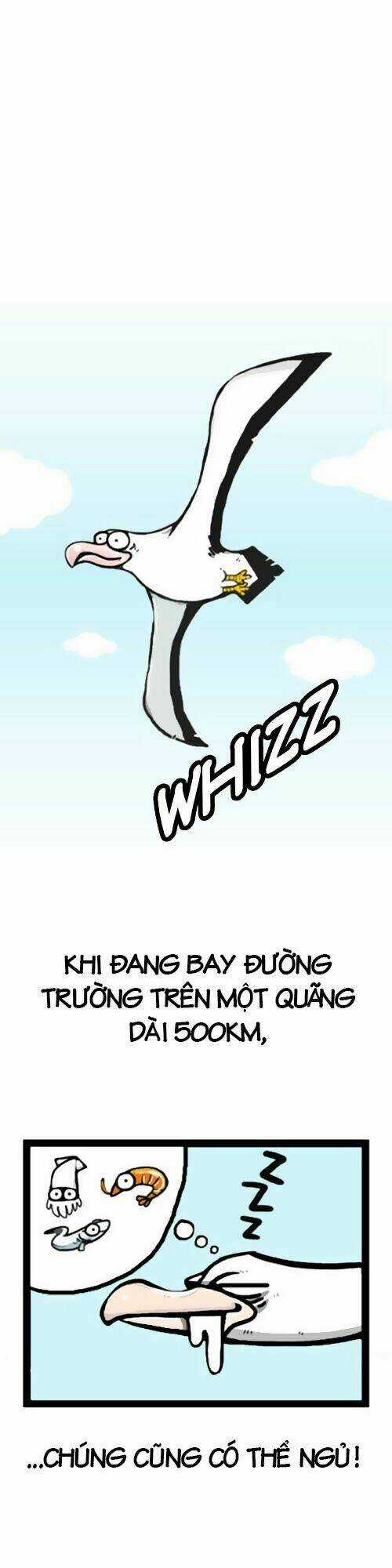 The Earth, Human, And Animal Chapter 1 trang 12