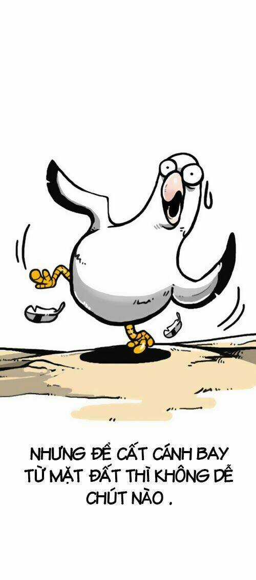 The Earth, Human, And Animal Chapter 1 trang 13