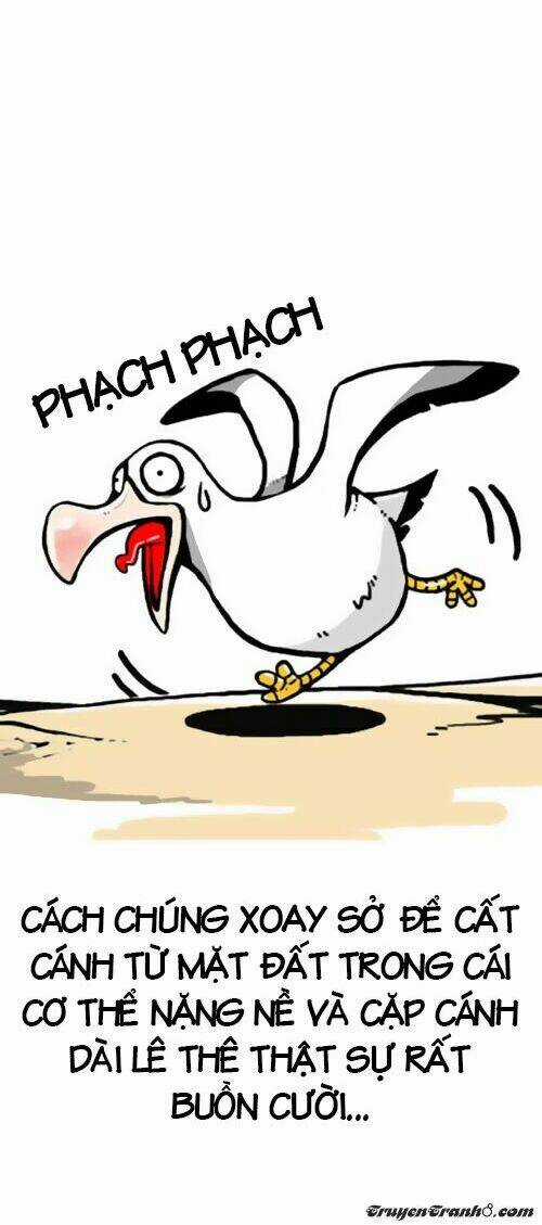 The Earth, Human, And Animal Chapter 1 trang 14