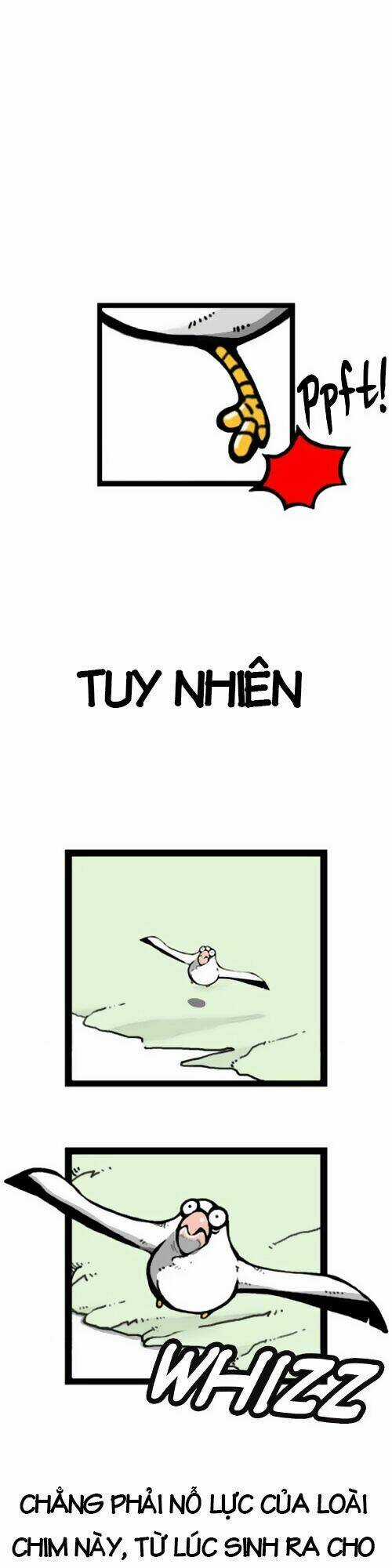 The Earth, Human, And Animal Chapter 1 trang 15