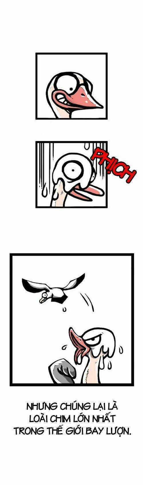 The Earth, Human, And Animal Chapter 1 trang 4