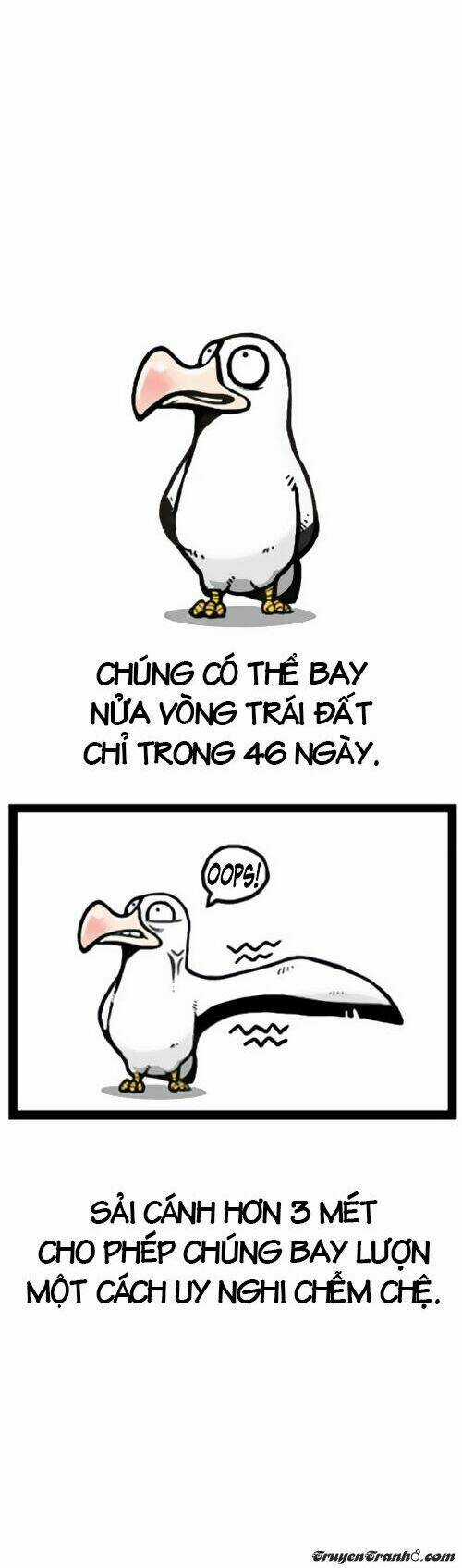 The Earth, Human, And Animal Chapter 1 trang 5