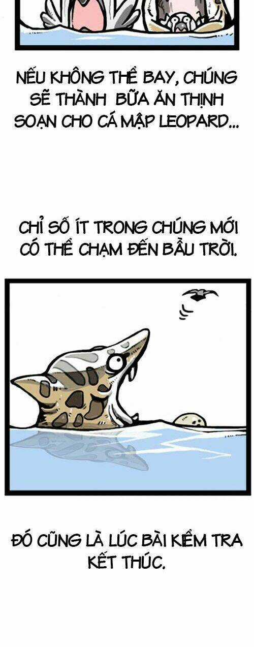 The Earth, Human, And Animal Chapter 1 trang 8