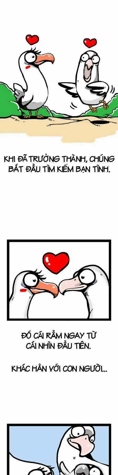 The Earth, Human, And Animal Chapter 1 trang 9