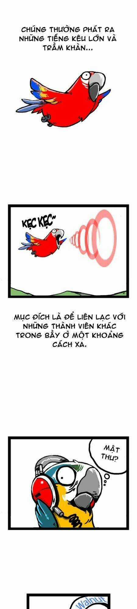 The Earth, Human, And Animal Chapter 11 trang 10