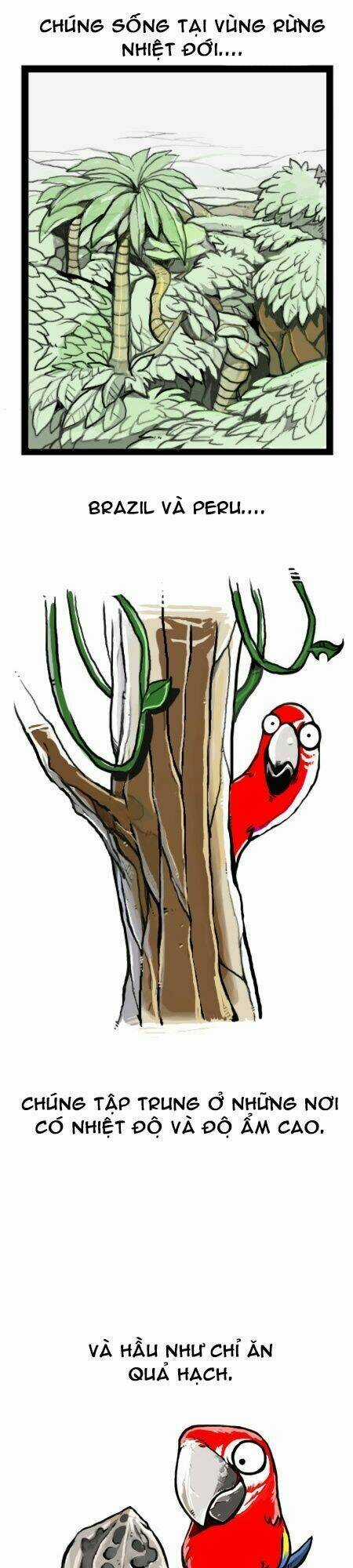 The Earth, Human, And Animal Chapter 11 trang 5