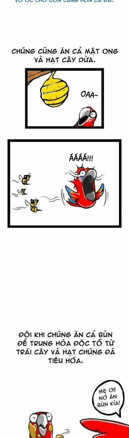 The Earth, Human, And Animal Chapter 11 trang 7