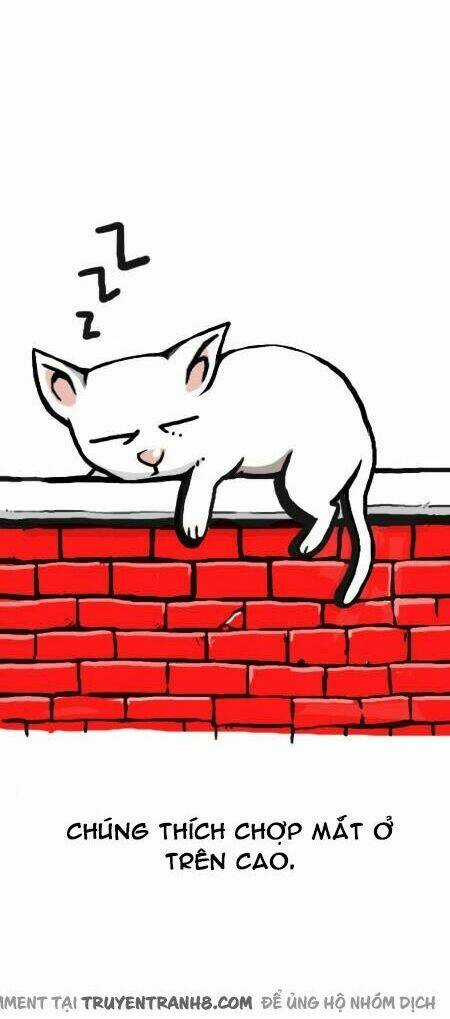 The Earth, Human, And Animal Chapter 12 trang 10