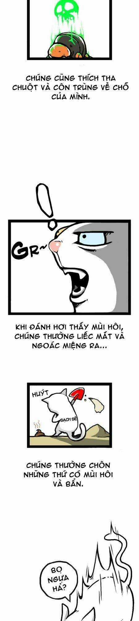 The Earth, Human, And Animal Chapter 12 trang 13