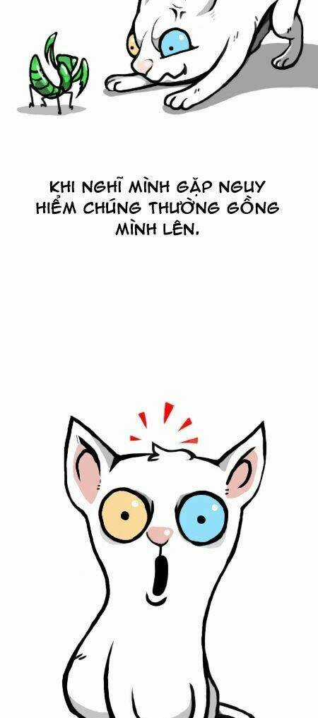 The Earth, Human, And Animal Chapter 12 trang 14