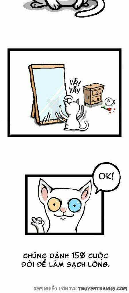 The Earth, Human, And Animal Chapter 12 trang 15