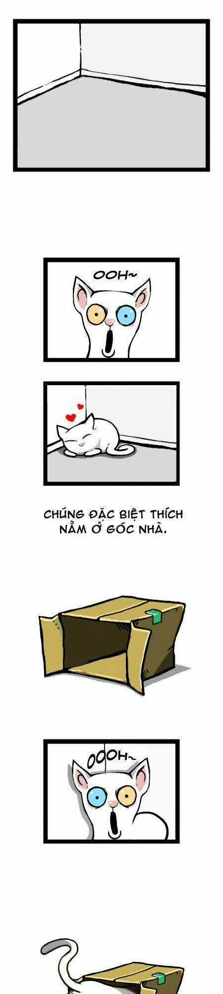 The Earth, Human, And Animal Chapter 12 trang 16