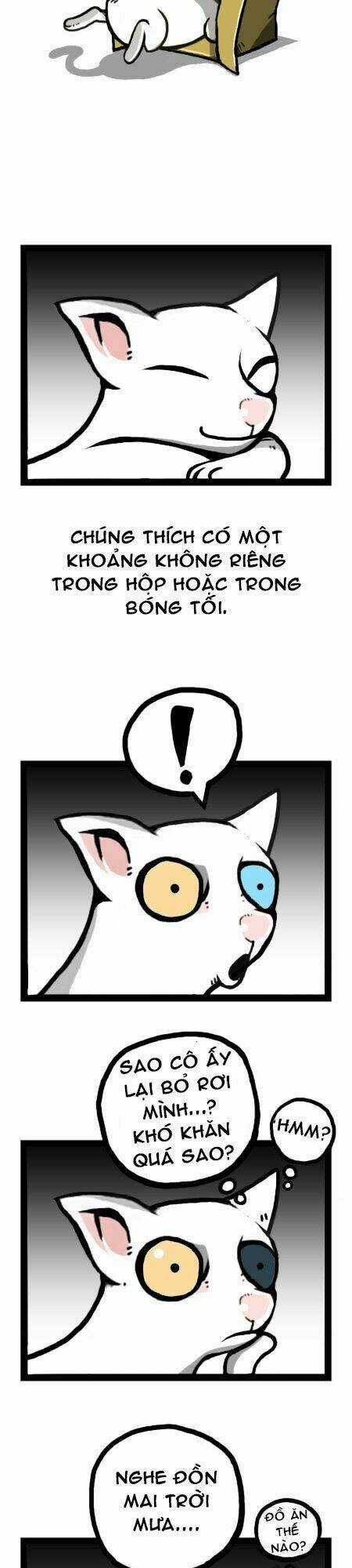 The Earth, Human, And Animal Chapter 12 trang 17