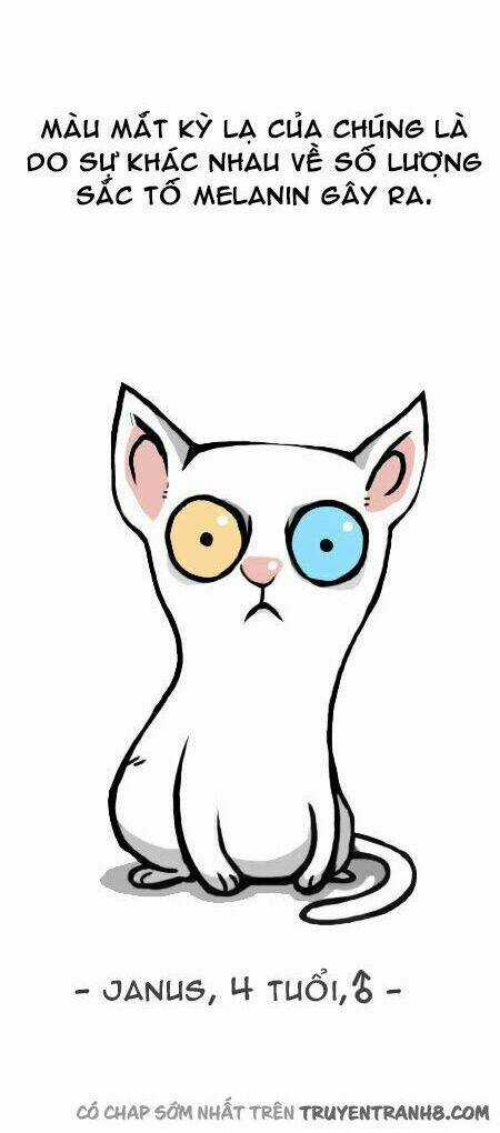 The Earth, Human, And Animal Chapter 12 trang 5