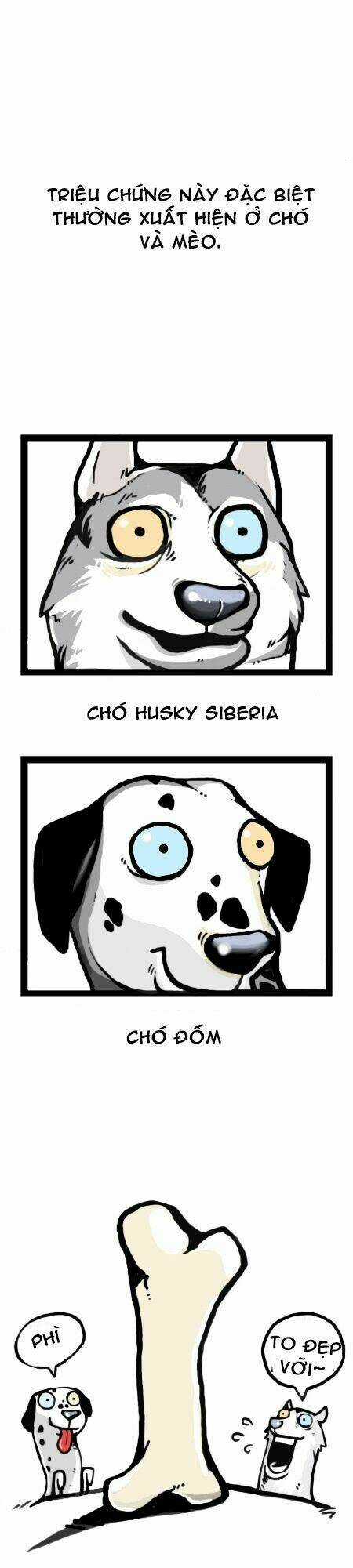 The Earth, Human, And Animal Chapter 12 trang 6