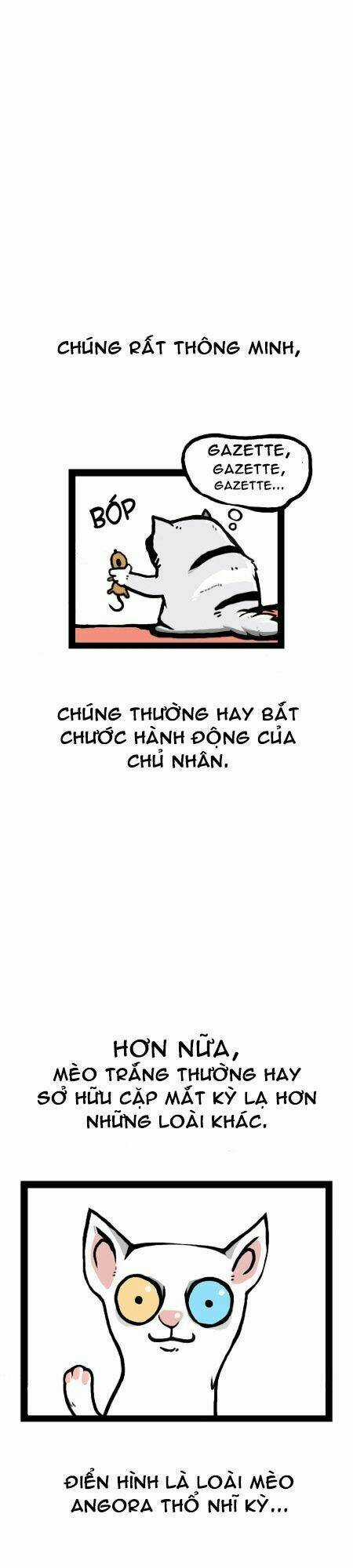 The Earth, Human, And Animal Chapter 12 trang 8