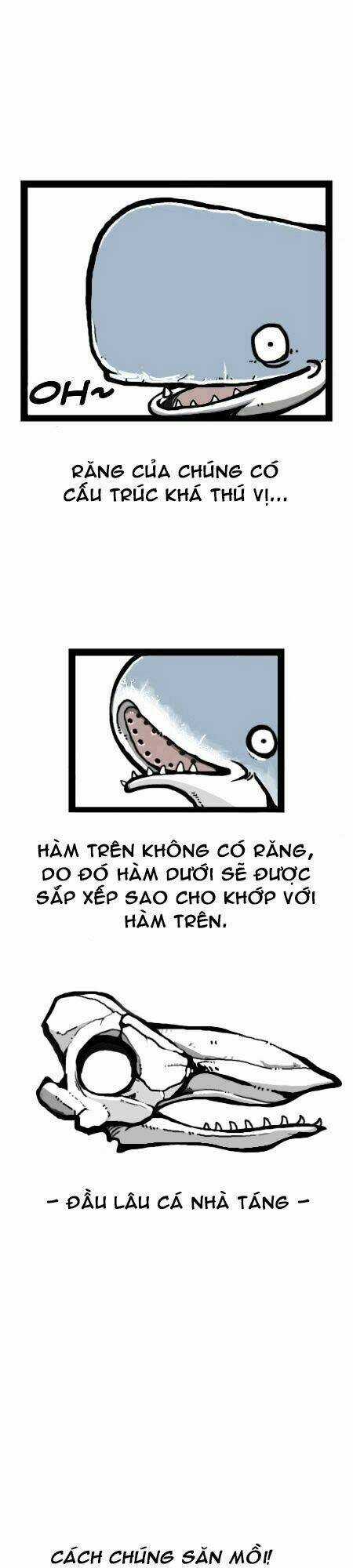 The Earth, Human, And Animal Chapter 13 trang 12