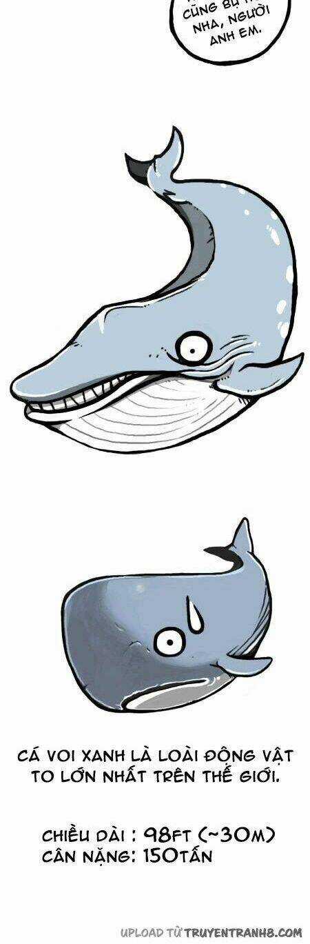 The Earth, Human, And Animal Chapter 13 trang 9