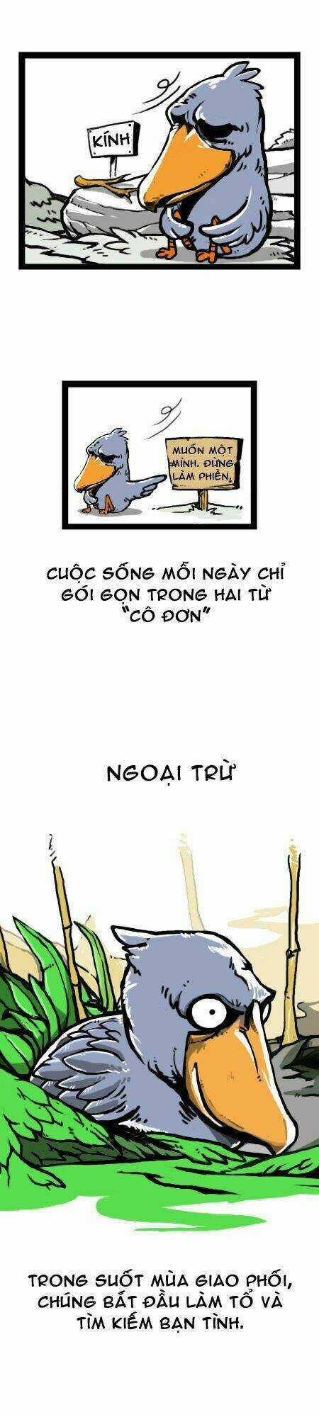 The Earth, Human, And Animal Chapter 14 trang 17