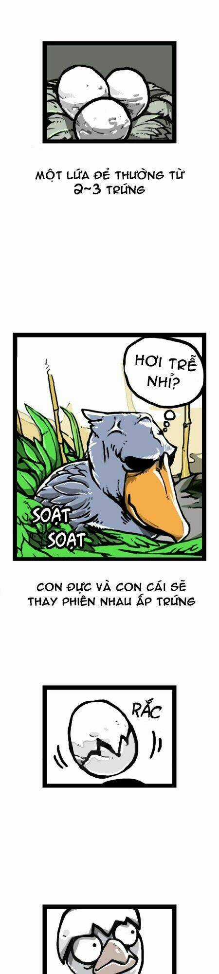 The Earth, Human, And Animal Chapter 14 trang 18