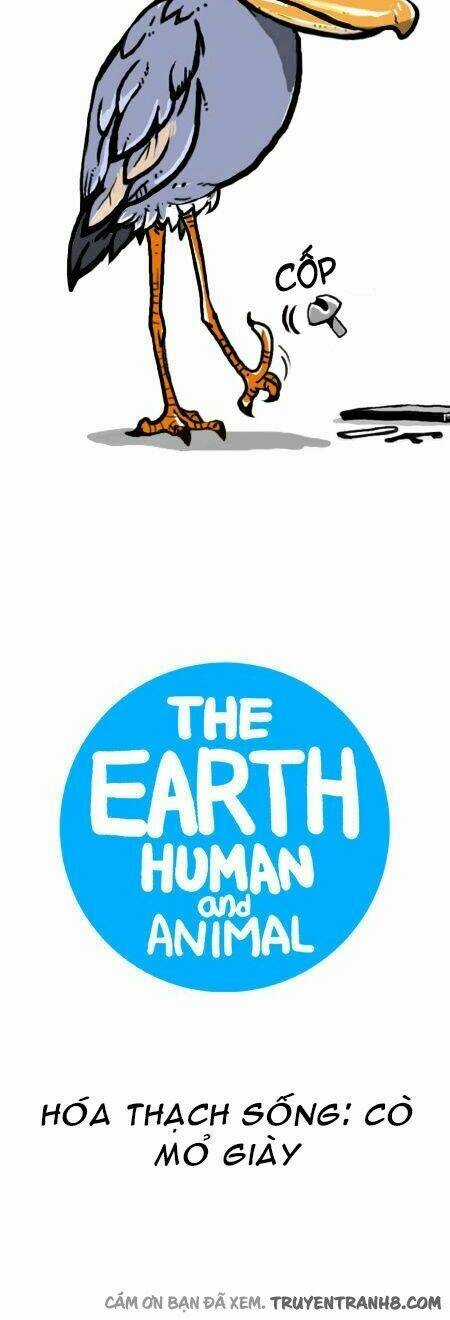 The Earth, Human, And Animal Chapter 14 trang 5