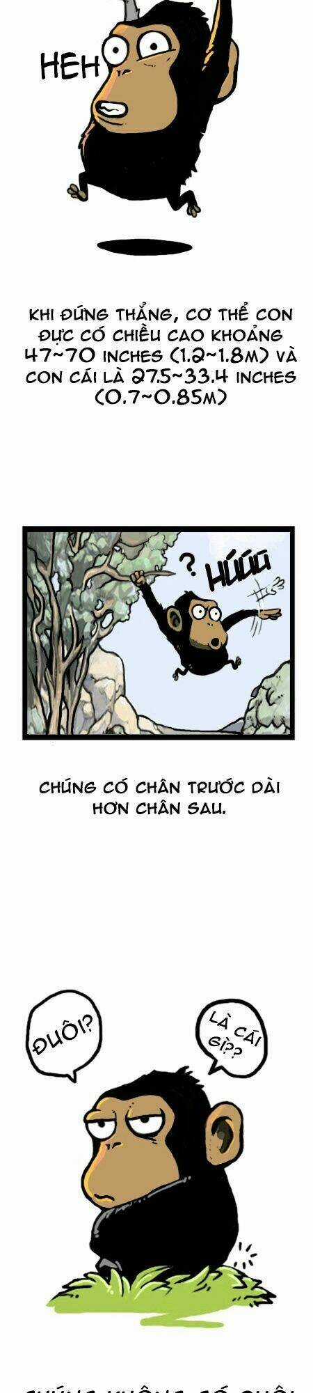 The Earth, Human, And Animal Chapter 15 trang 7