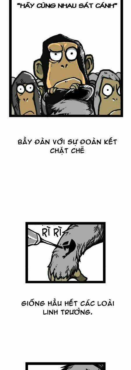 The Earth, Human, And Animal Chapter 15 trang 9