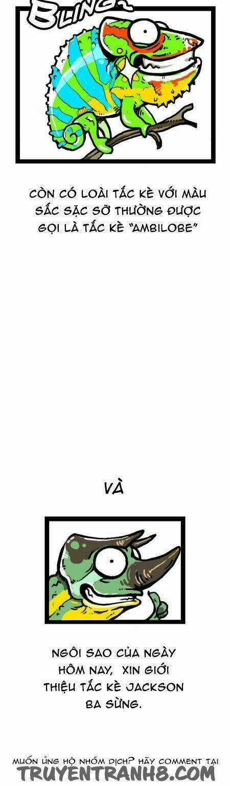 The Earth, Human, And Animal Chapter 19 trang 10