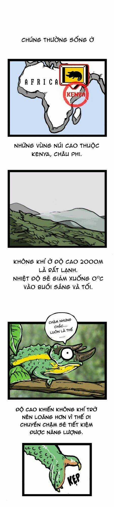 The Earth, Human, And Animal Chapter 19 trang 11