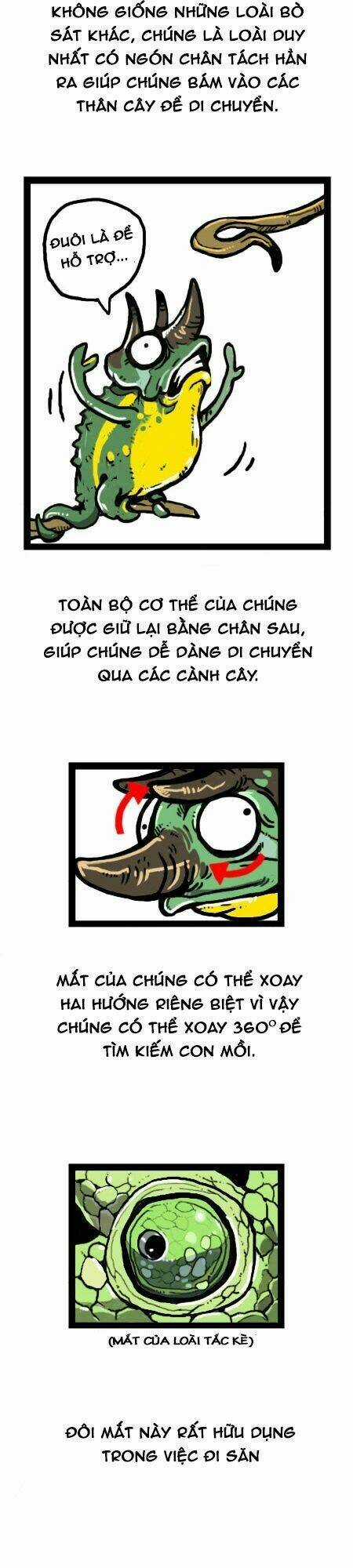 The Earth, Human, And Animal Chapter 19 trang 12