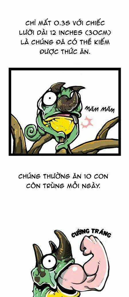 The Earth, Human, And Animal Chapter 19 trang 14