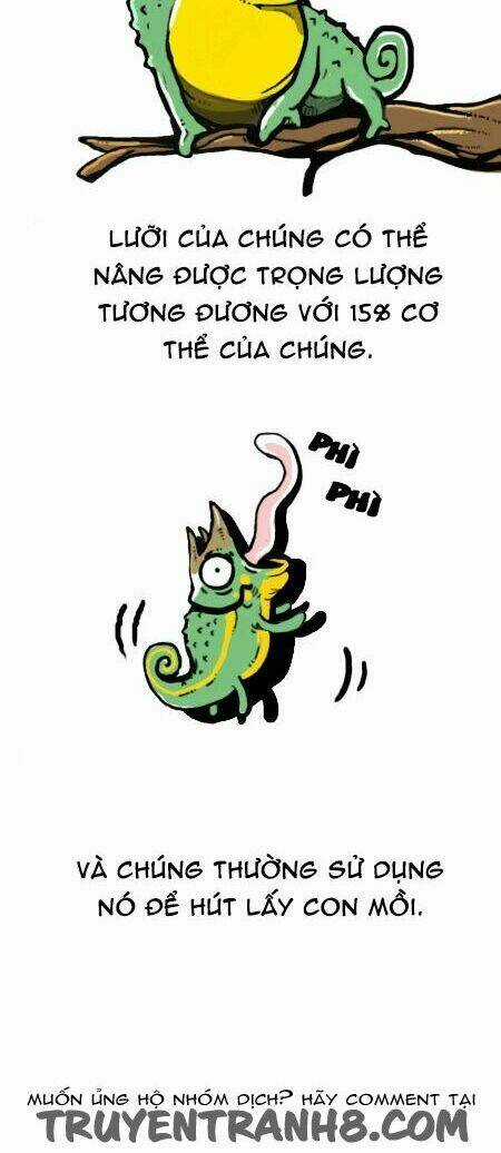 The Earth, Human, And Animal Chapter 19 trang 15