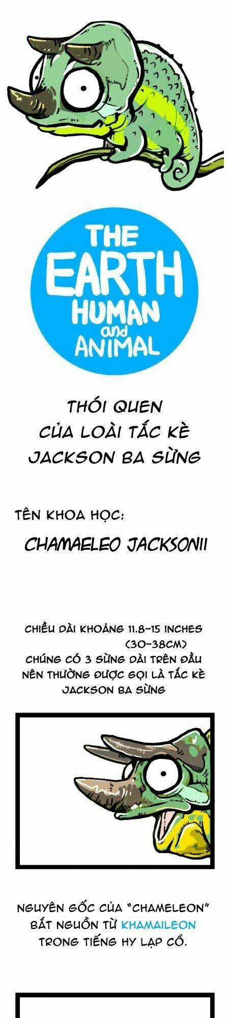 The Earth, Human, And Animal Chapter 19 trang 6