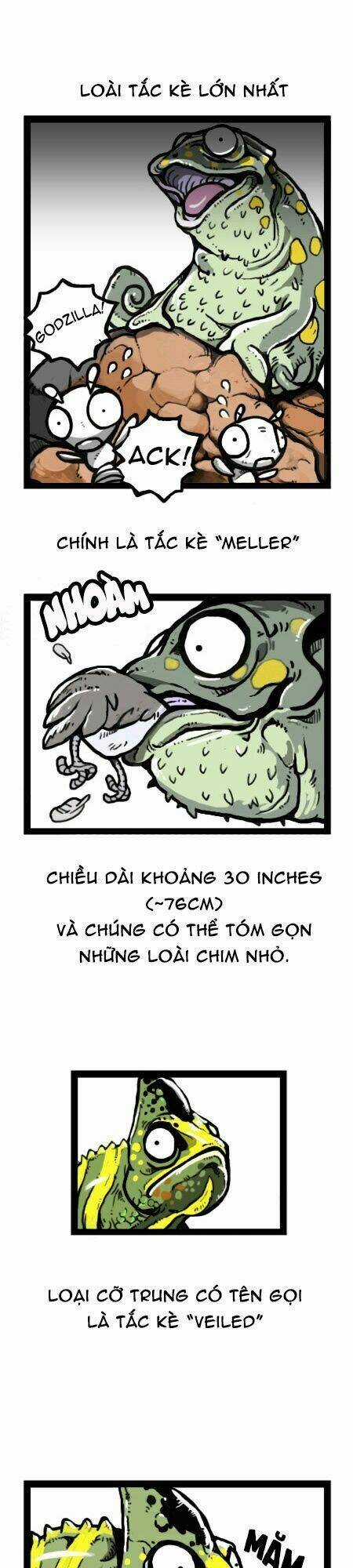 The Earth, Human, And Animal Chapter 19 trang 8