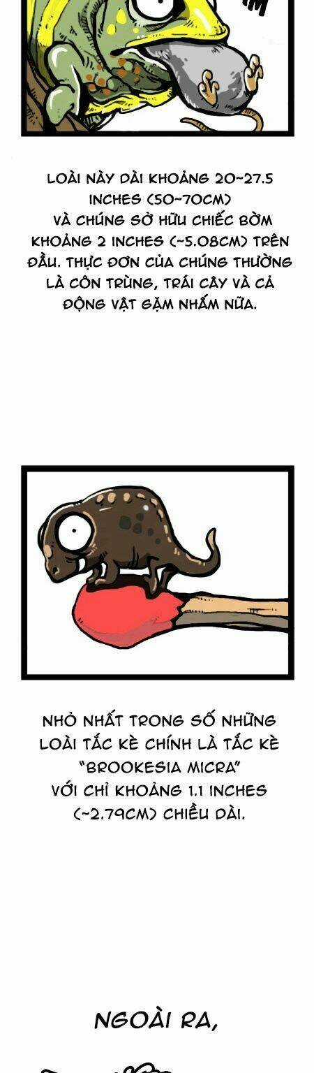 The Earth, Human, And Animal Chapter 19 trang 9