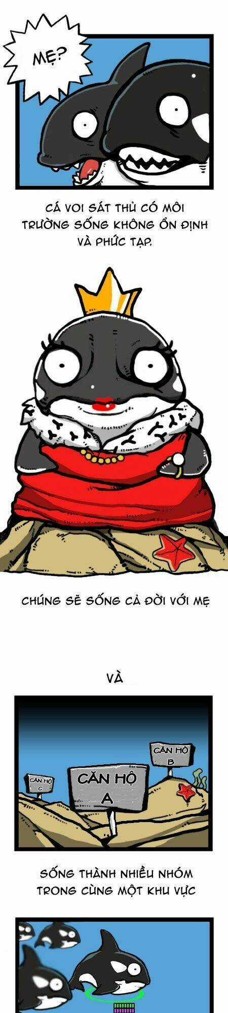 The Earth, Human, And Animal Chapter 23 trang 18