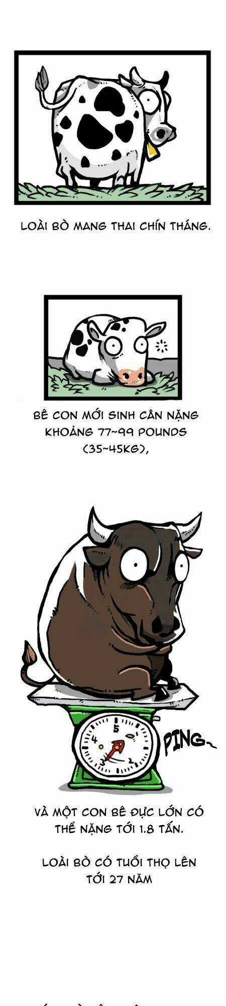 The Earth, Human, And Animal Chapter 24 trang 14