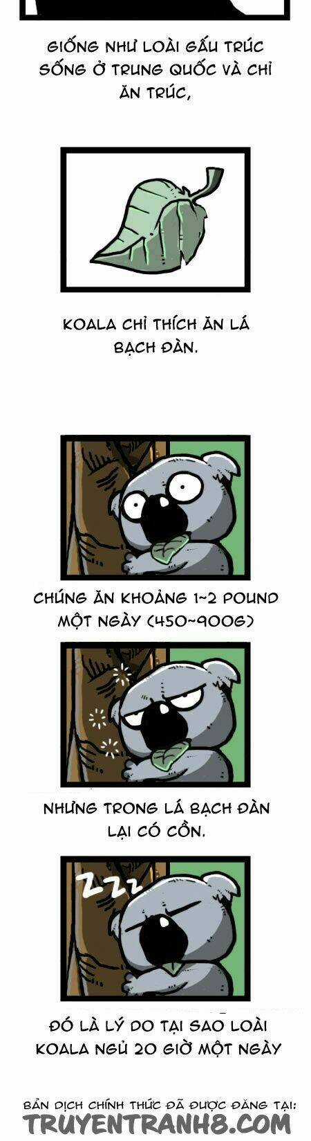 The Earth, Human, And Animal Chapter 25 trang 18